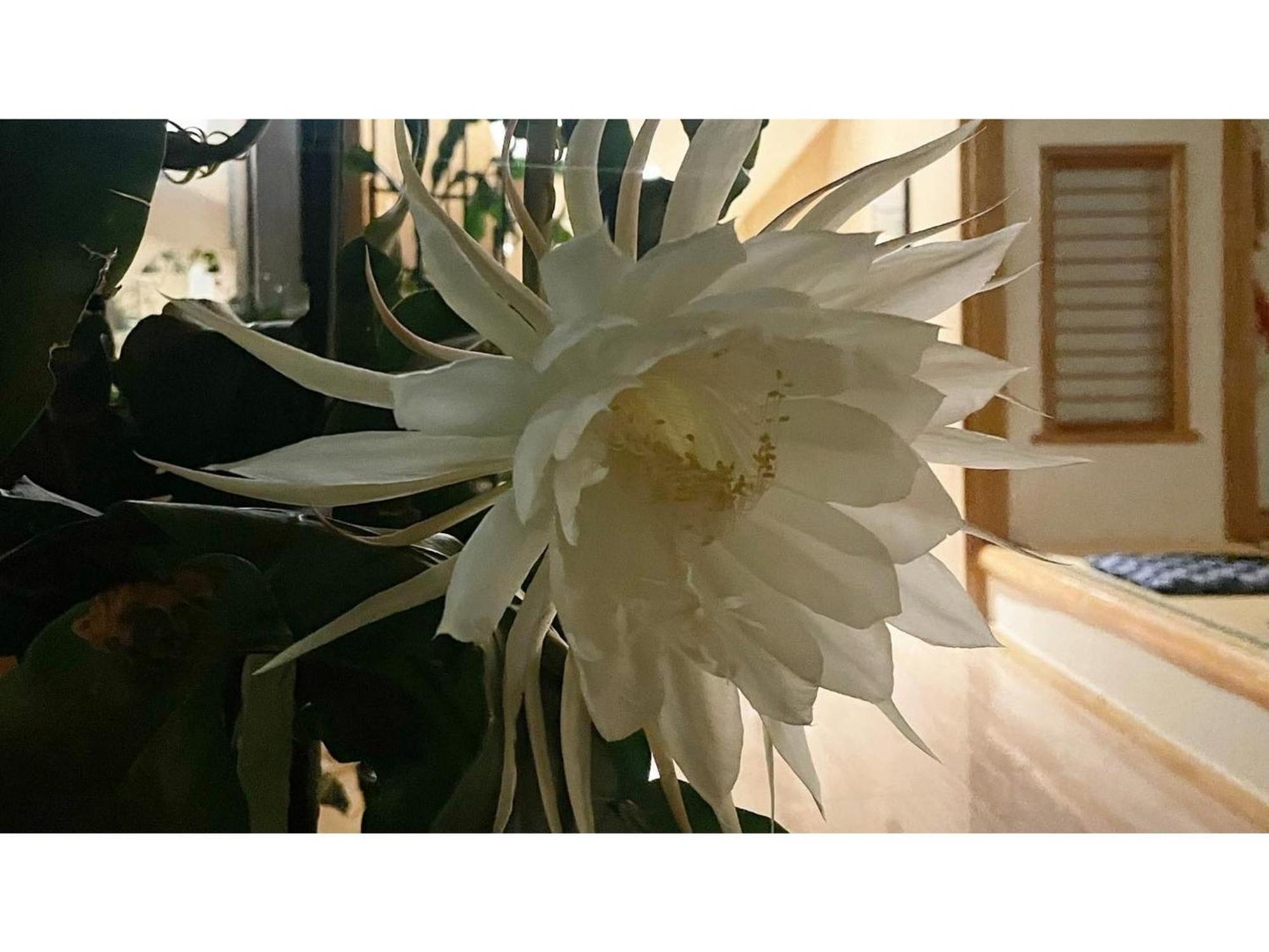 Nakanoyu Onsen Ryokan - Vacation Stay 06697V 마츠모토 외부 사진