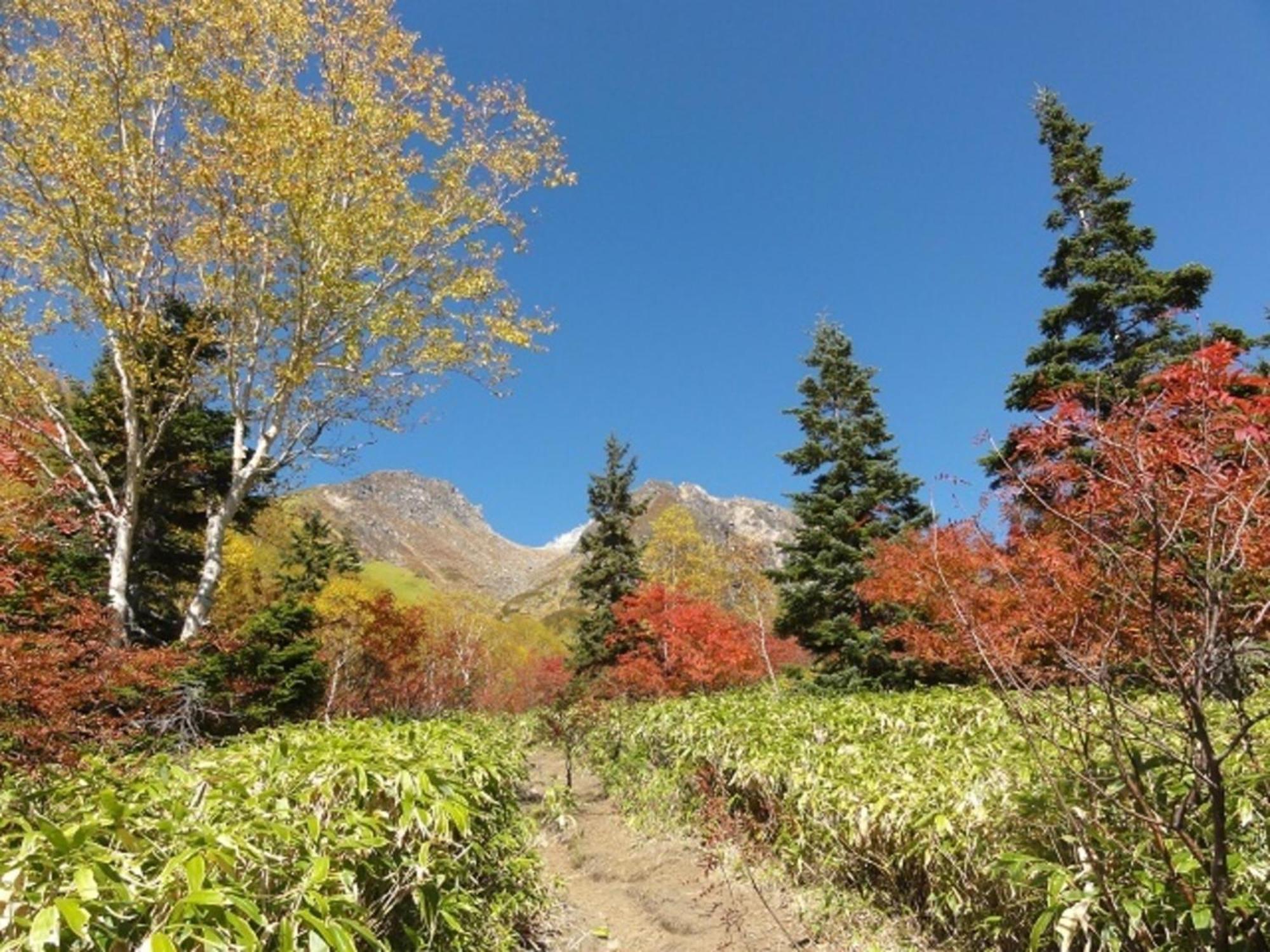 Nakanoyu Onsen Ryokan - Vacation Stay 06697V 마츠모토 외부 사진