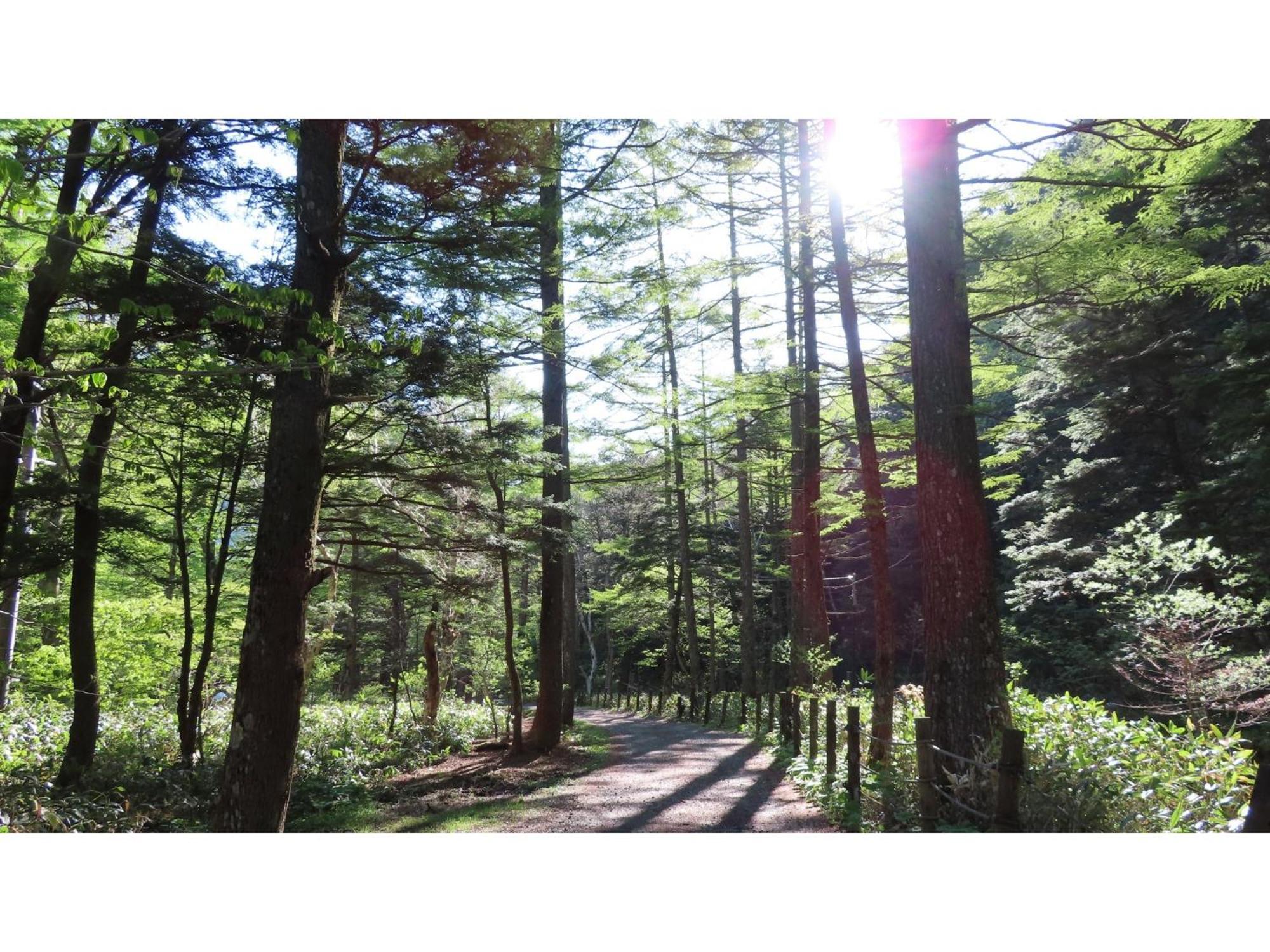 Nakanoyu Onsen Ryokan - Vacation Stay 06697V 마츠모토 외부 사진